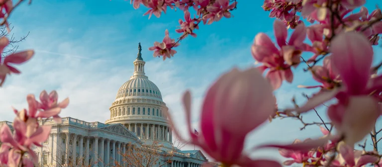 Spring Break or Spring Cleaning?