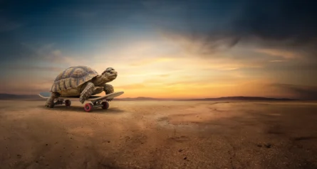 Is Defensive the New Offensive?