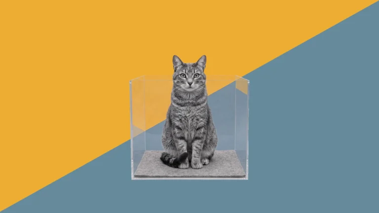 Schrödinger’s Market